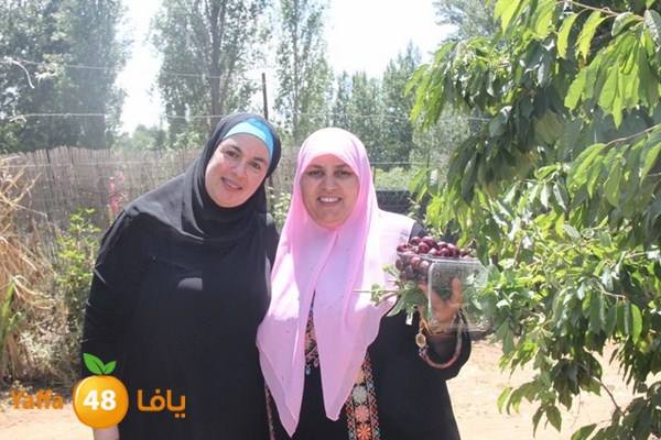 bayareq re7la shamal 0612 (99).JPG